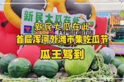 吃瓜大赛宣传语简短,吃瓜大赛，一触即发！
